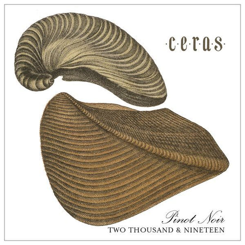 Antica Terra Pinot Noir Ceras 2019