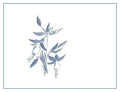 Arnot-Roberts Montecillo Vineyard Cabernet Sauvignon 2019